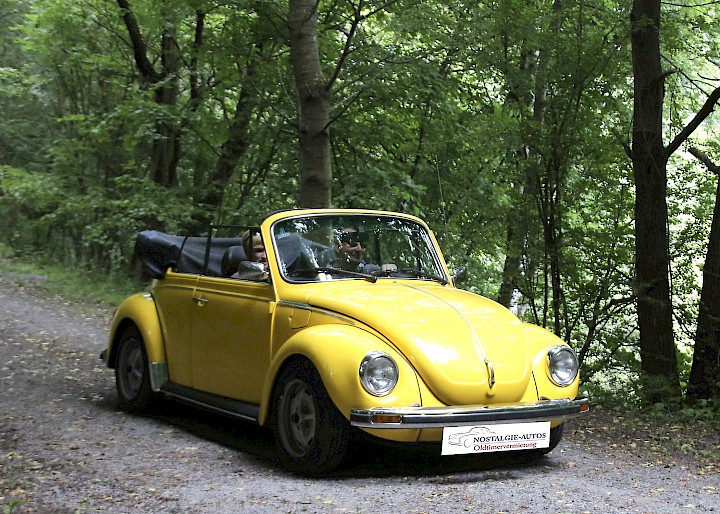 VW Käfer auf Waldweg