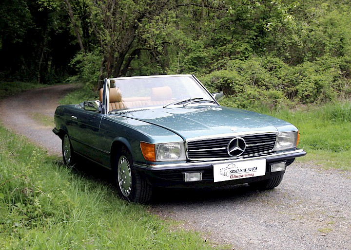 Mercedes vor Wald